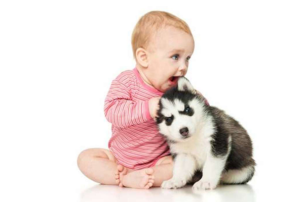 baby with a puppy