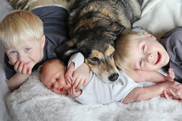 dog laying with kids giving signals ready to snap